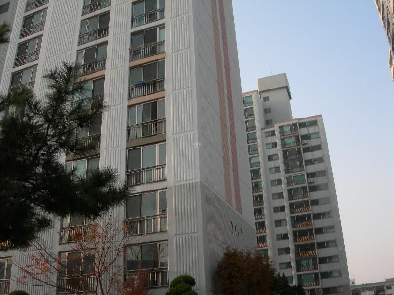 DSCN3187