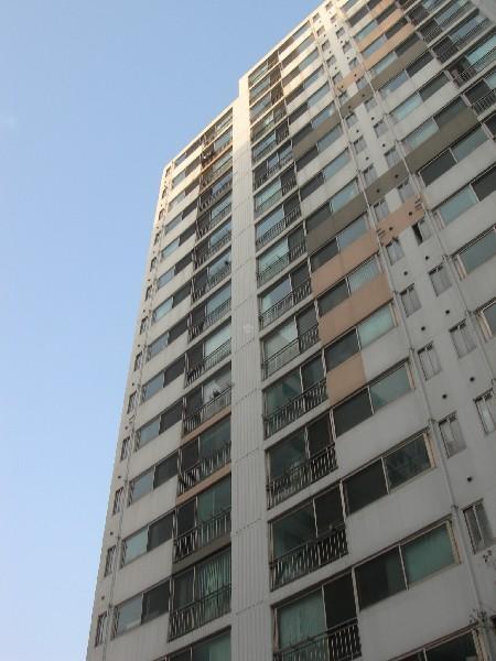 DSCN3195