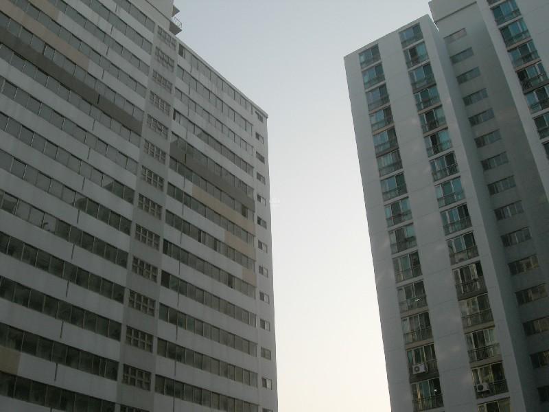 DSCN3196