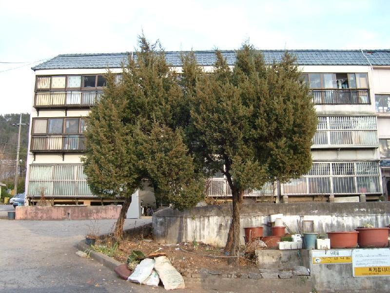 S7303819