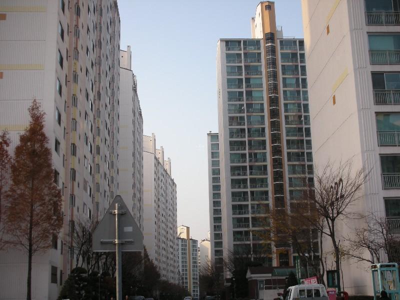 DSCN1849