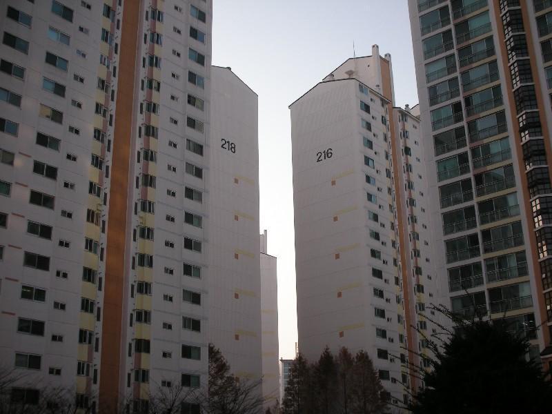 DSCN1859