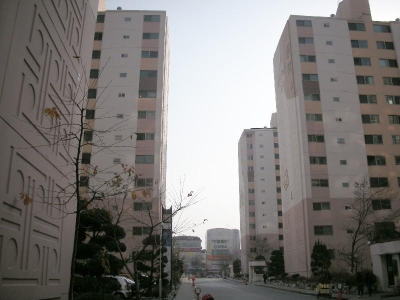 DSCN1790