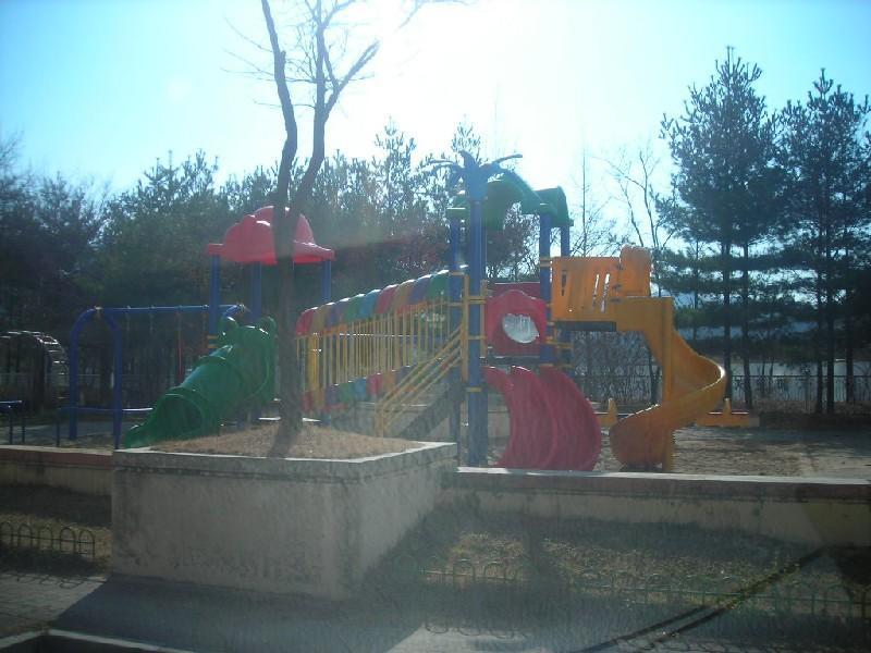 DSCN7260