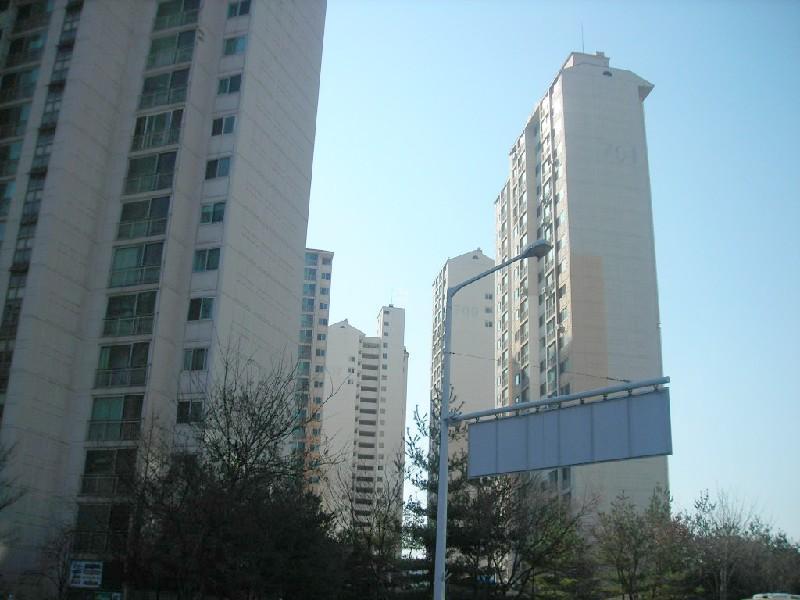 DSCN7252