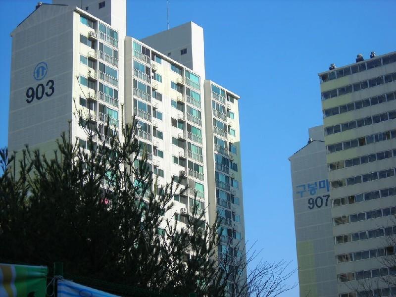 DSCN7227