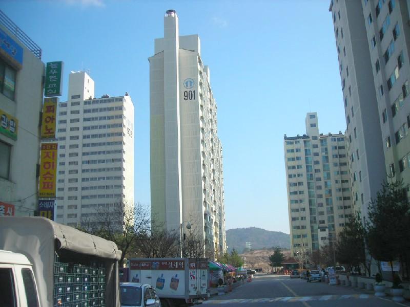 DSCN7229