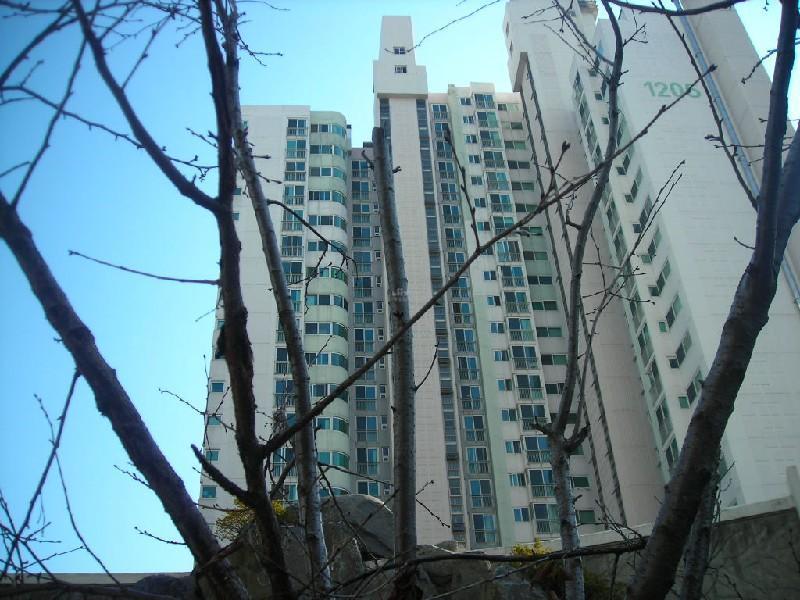 DSCN7294