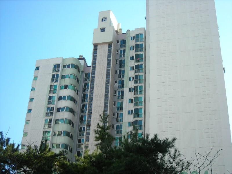DSCN7300