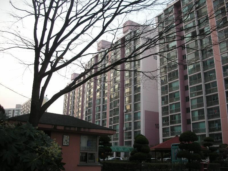 DSCN1953