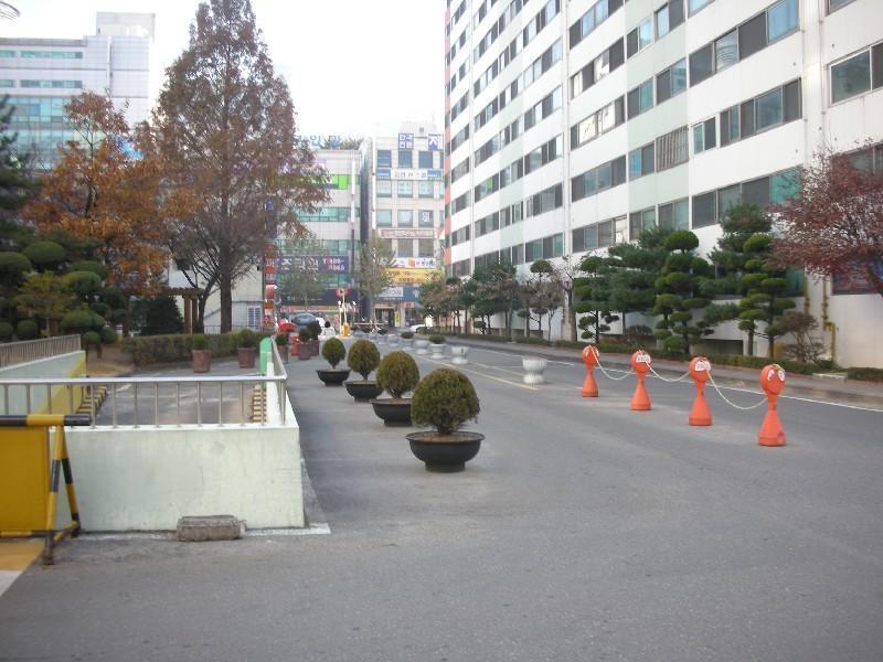 DSCN2109