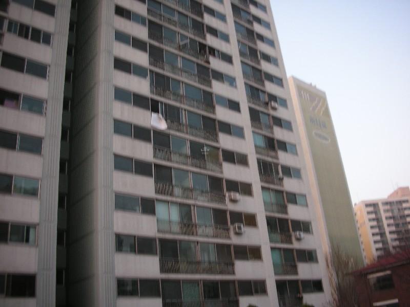 DSCN1933