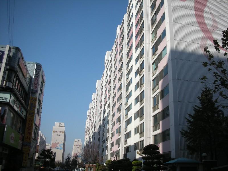 DSCN2053