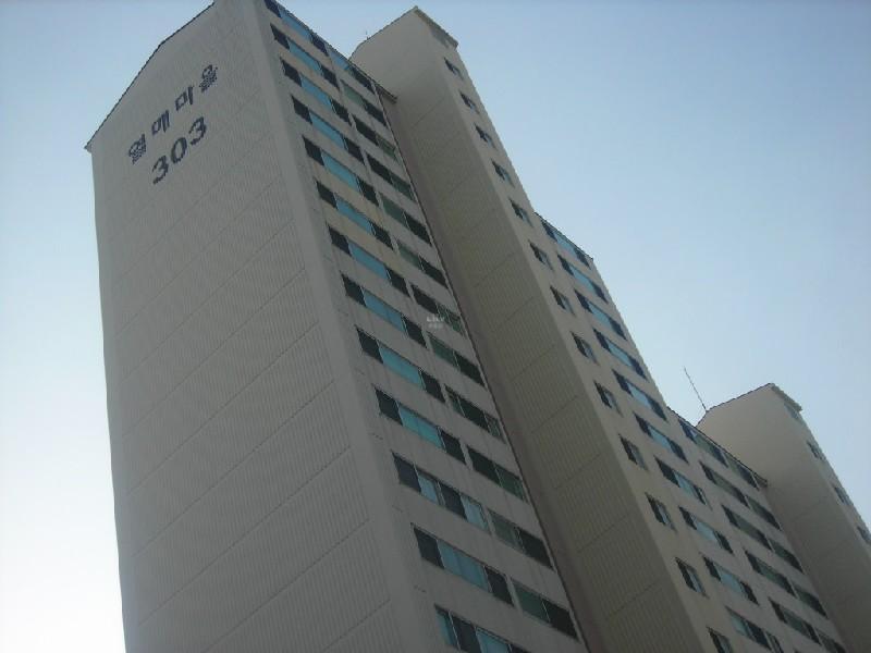 DSCN7646