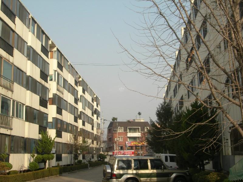 DSCN3106