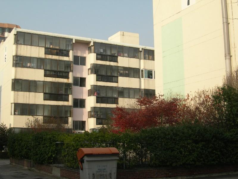 DSCN3110