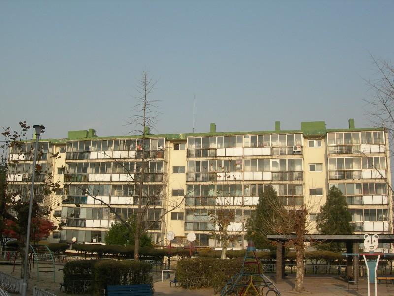 DSCN3133