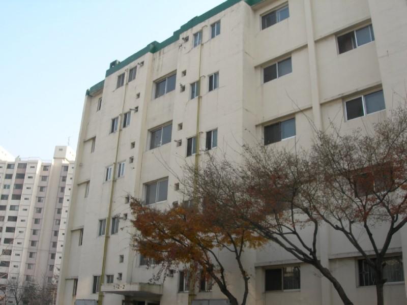 DSCN3137