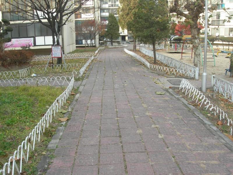 DSCN3134