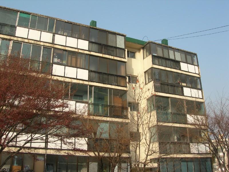 DSCN3126