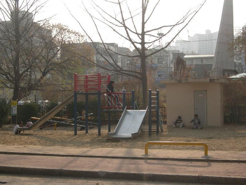 DSCN3082