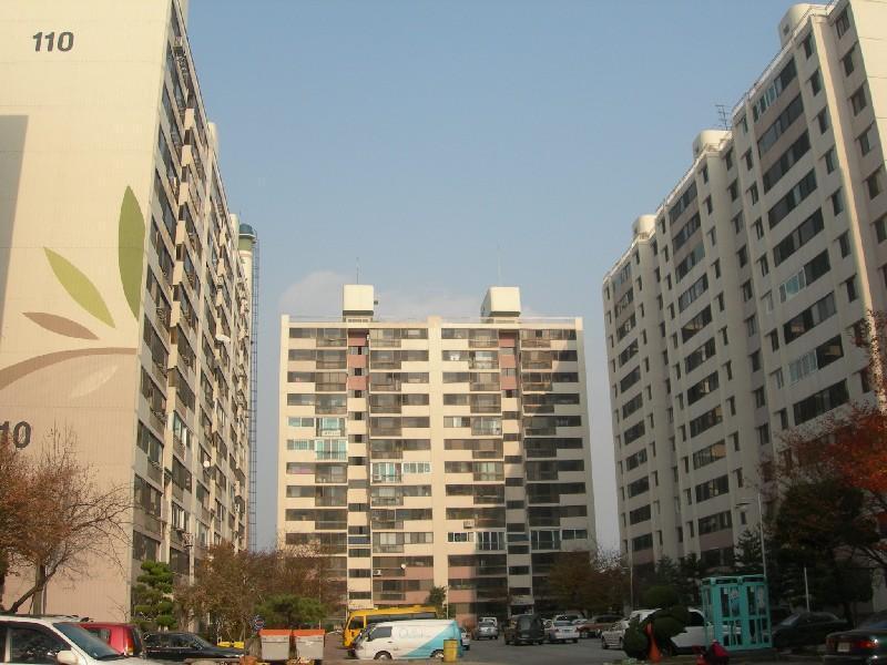 DSCN3081