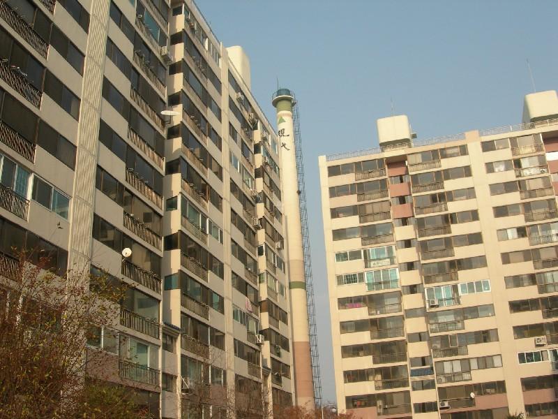 DSCN3085