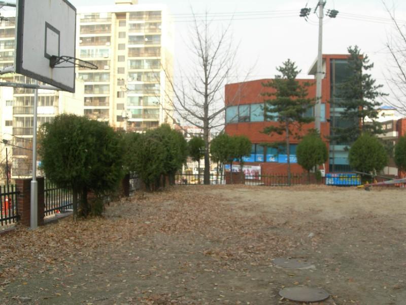 DSCN3088