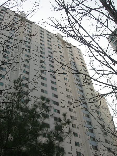 DSCN3049