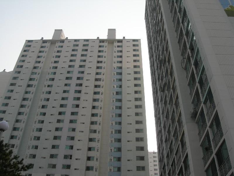 DSCN3053