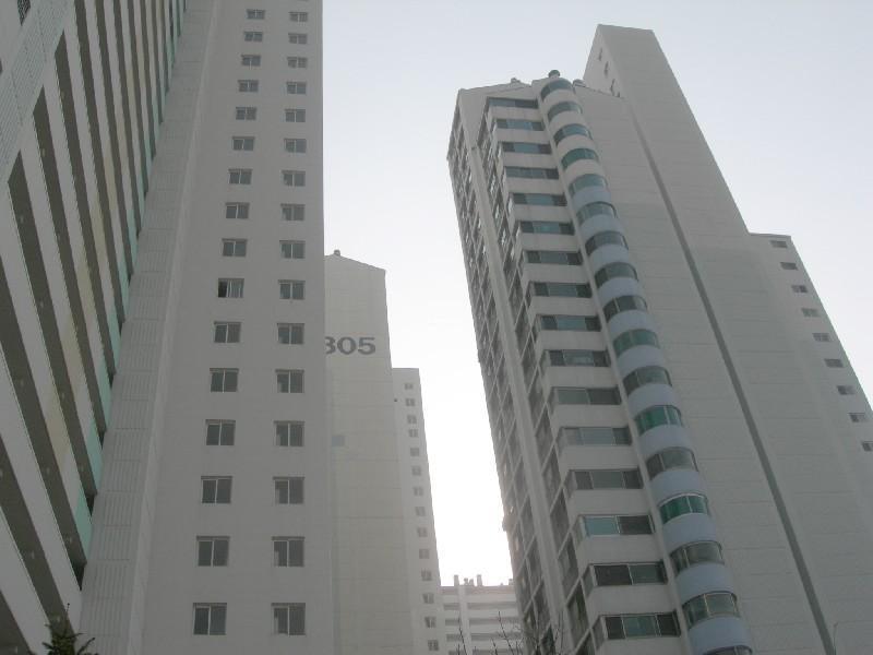 DSCN3054