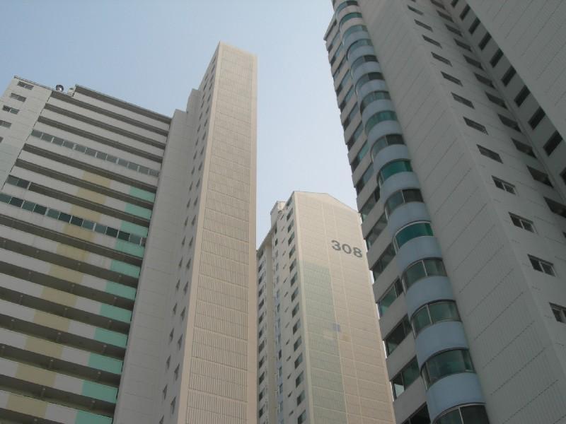 DSCN3061