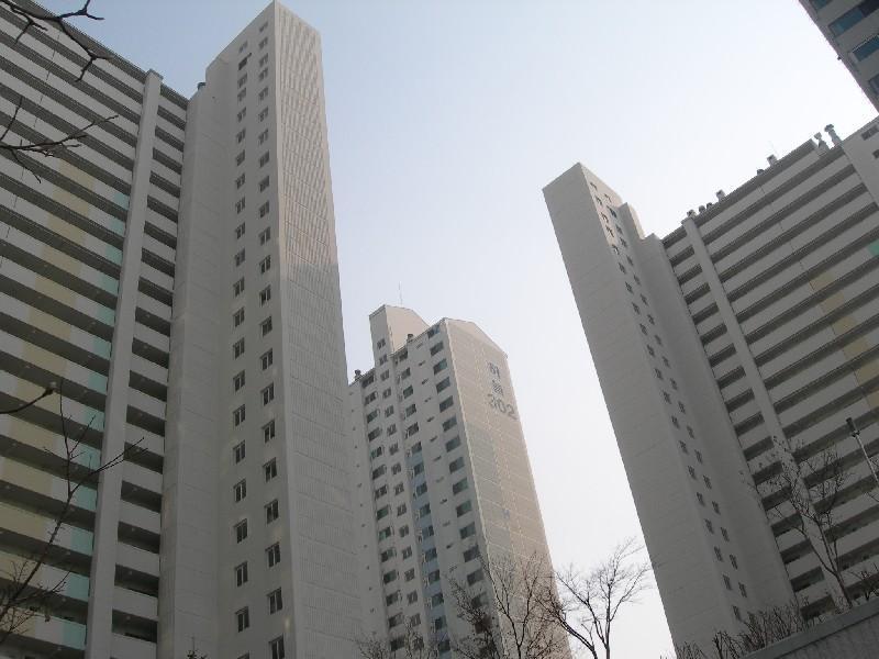 DSCN3065