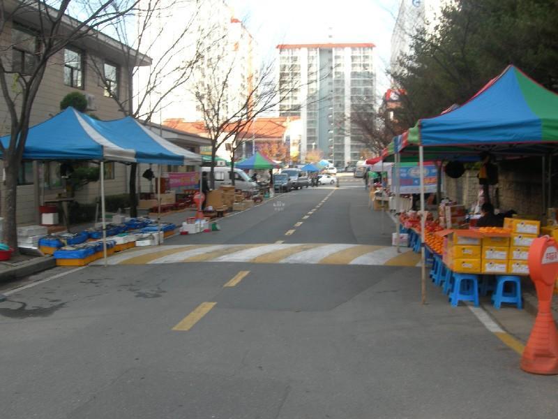 DSCN2262