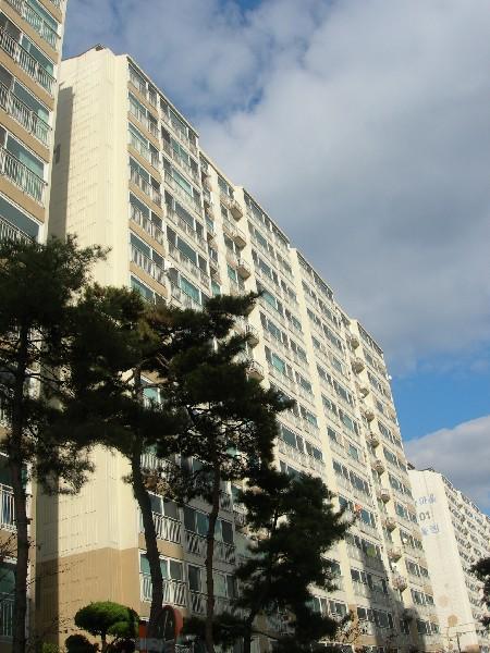 DSCN2466