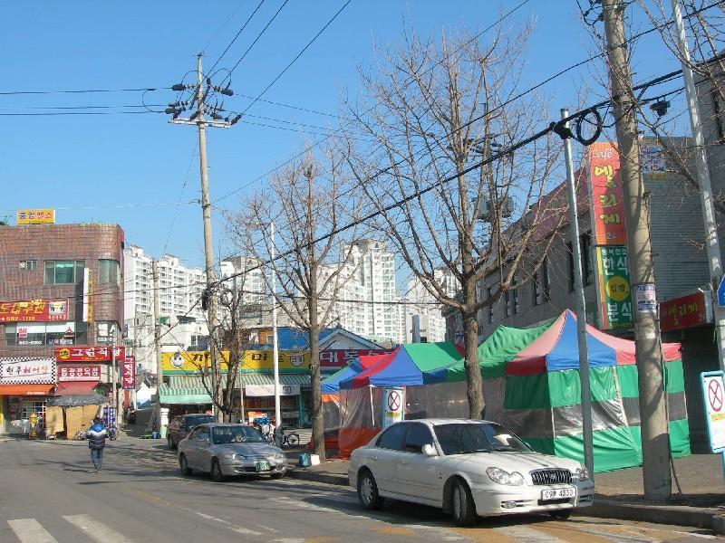 DSCN2305