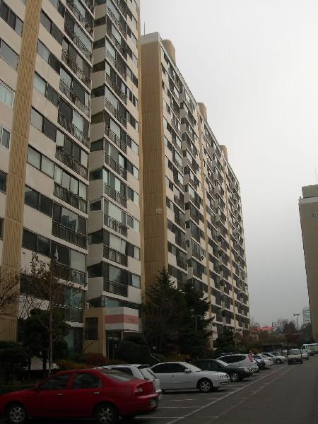 DSCN2647