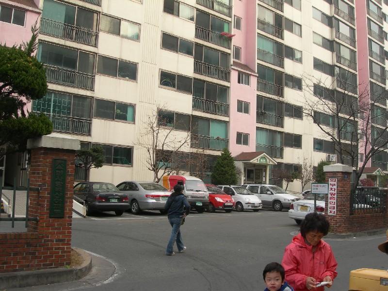DSCN2635