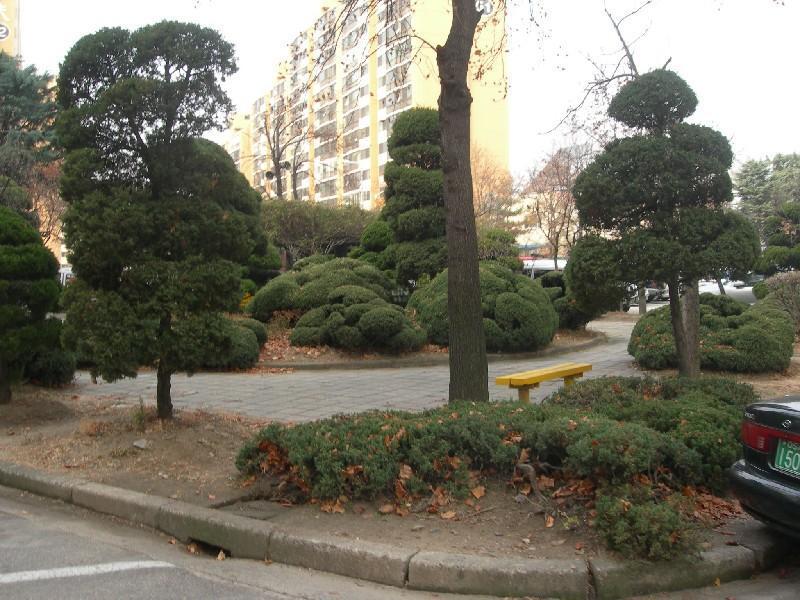 DSCN2877