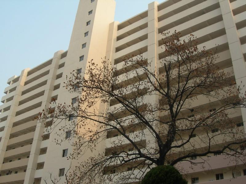 DSCN2880