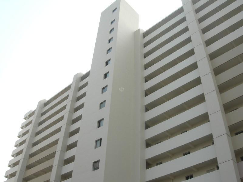 DSCN2884