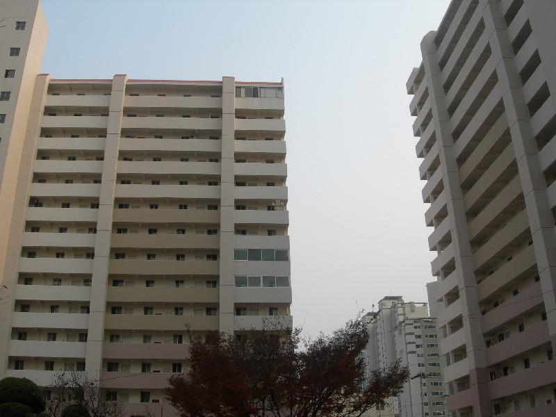 DSCN2885