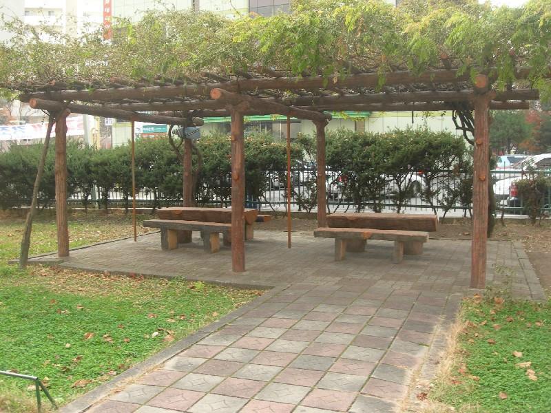 DSCN2892