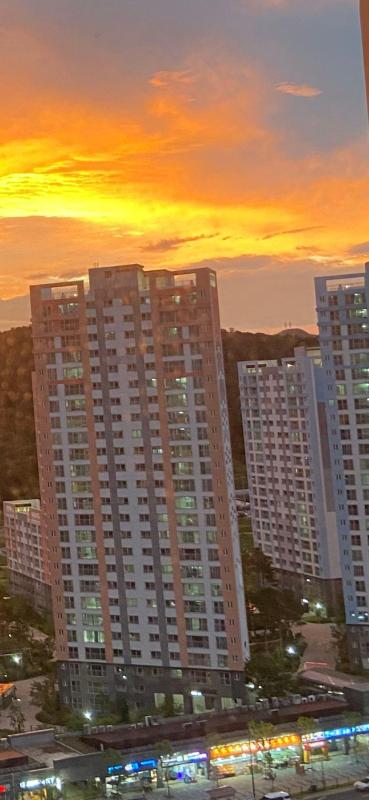 컨텐츠파일