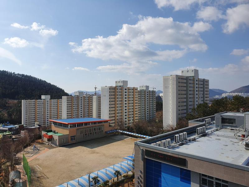 선진리