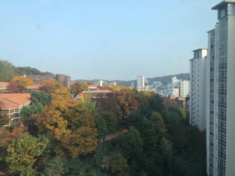 초코토끼