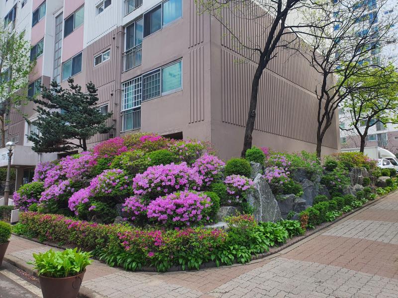 맘