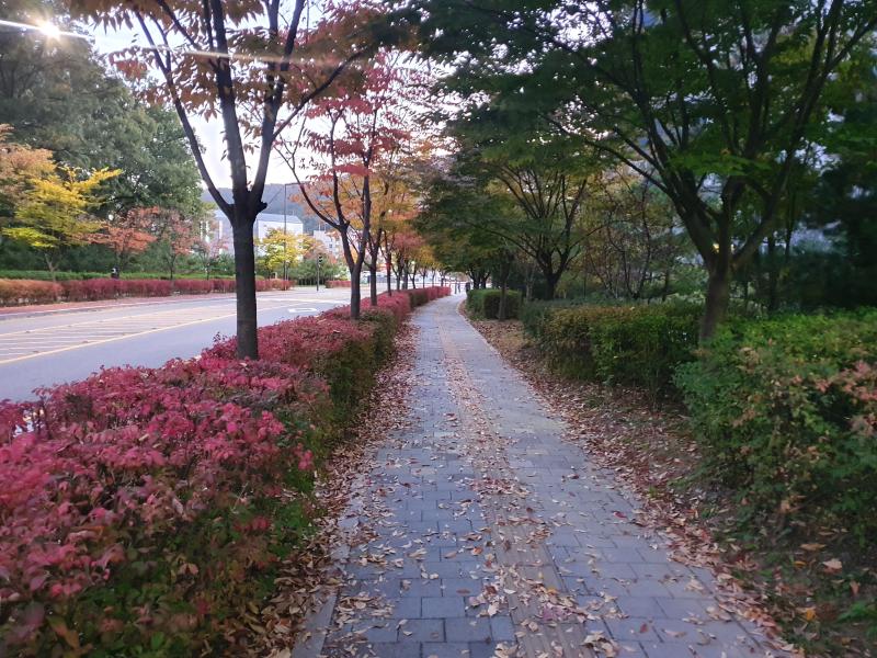 내곡
