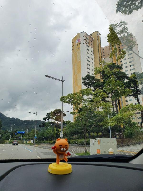 컨텐츠파일