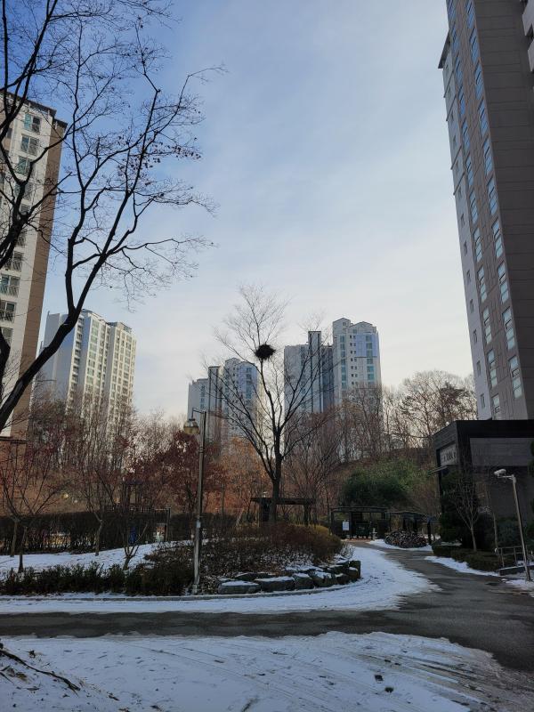 컨텐츠파일